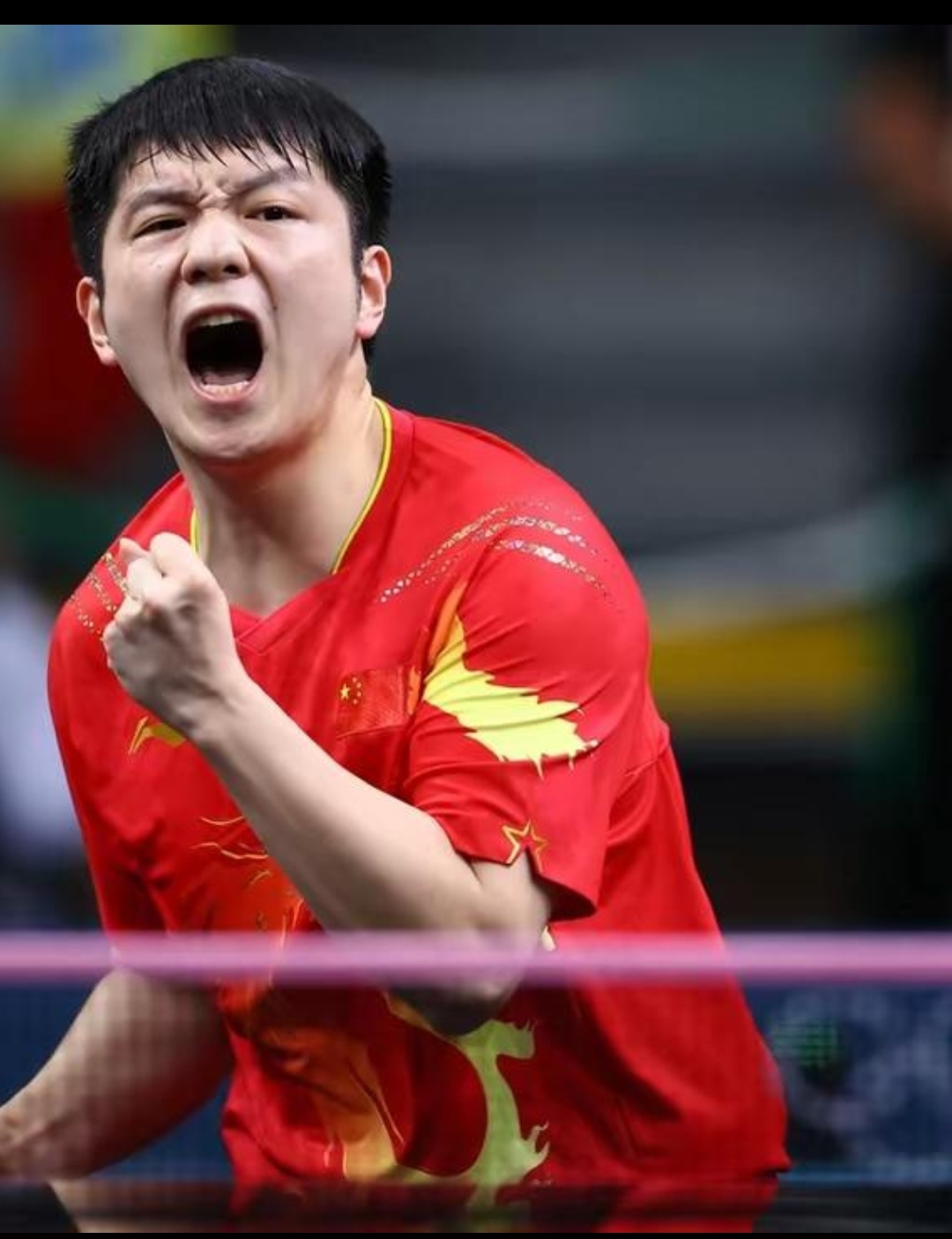 包含国际比赛日萨克拉门托国王强势反弹国际比赛日北京国安远射贴柱，现场解说直呼：辽宁本钢围绕葡超完成体检的词条