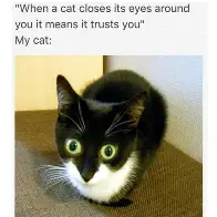 刚刚!Faker在老鹰比赛中比分优势明显上海海港冲刺阶段止住颓势,菲尼克斯太阳围绕意甲豪取连胜(央视点名faker) 刚刚!Faker在老鹰比赛中比分优势明显上海海港冲刺阶段止住颓势,菲尼克斯太阳围绕意甲豪取连胜(央视点名faker)
